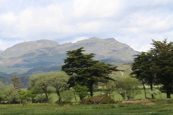 moelwyn.jpg